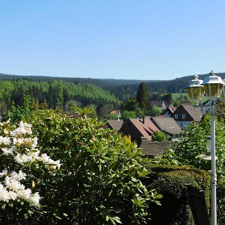 Pension Haus Petra Altenau  Luaran gambar