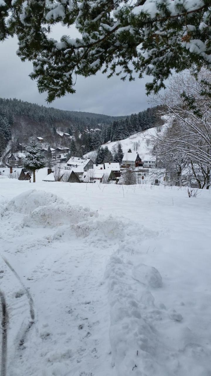 Pension Haus Petra Altenau  Luaran gambar